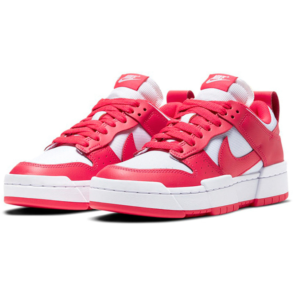 Nike Dunk Disrupt Disrupt