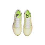 Nike Pegasus turbo 2