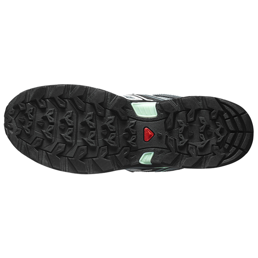SALOMON X Ultra Pioneer