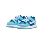 Nike Dunk