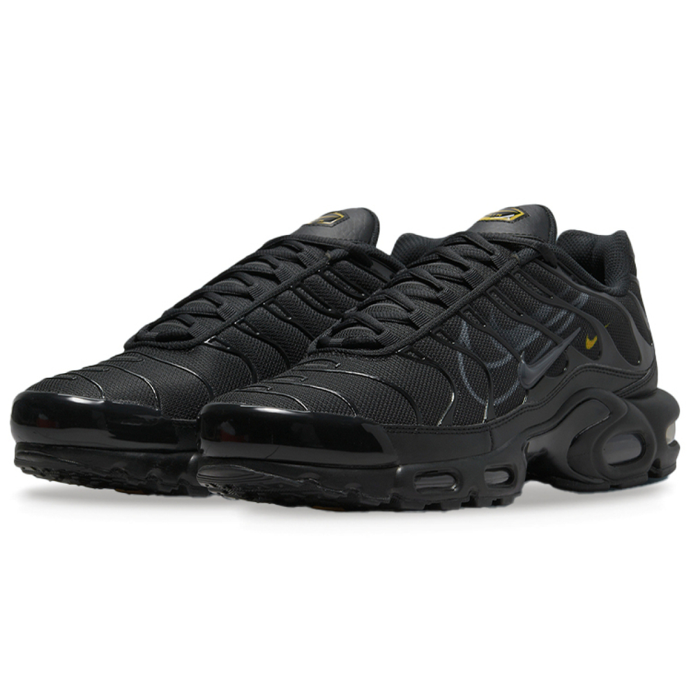 Nike Air Max Plus