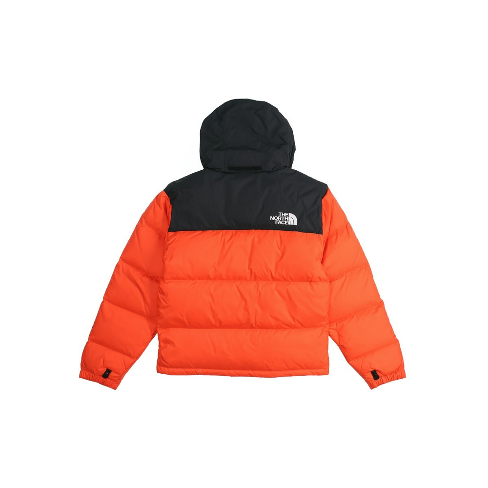 THE NORTH FACE 1996 Nuptse ICON 700