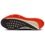 Nike Zoom Winflo 9