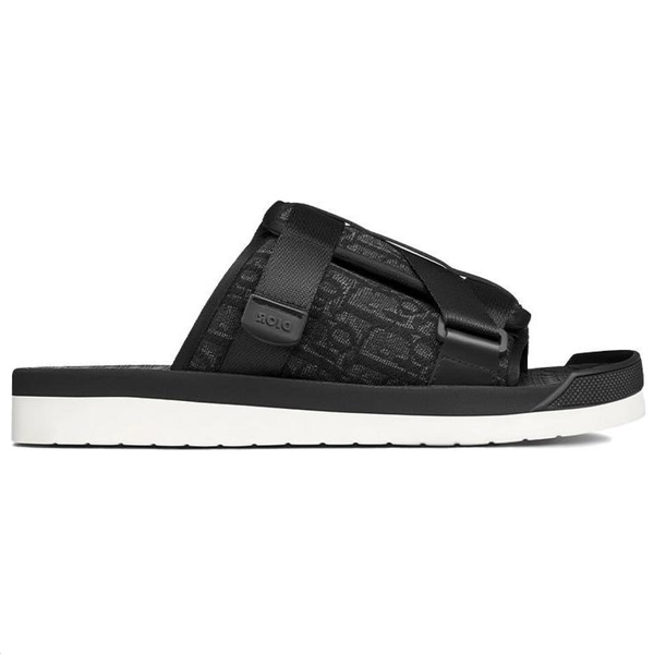 DIOR Alpha