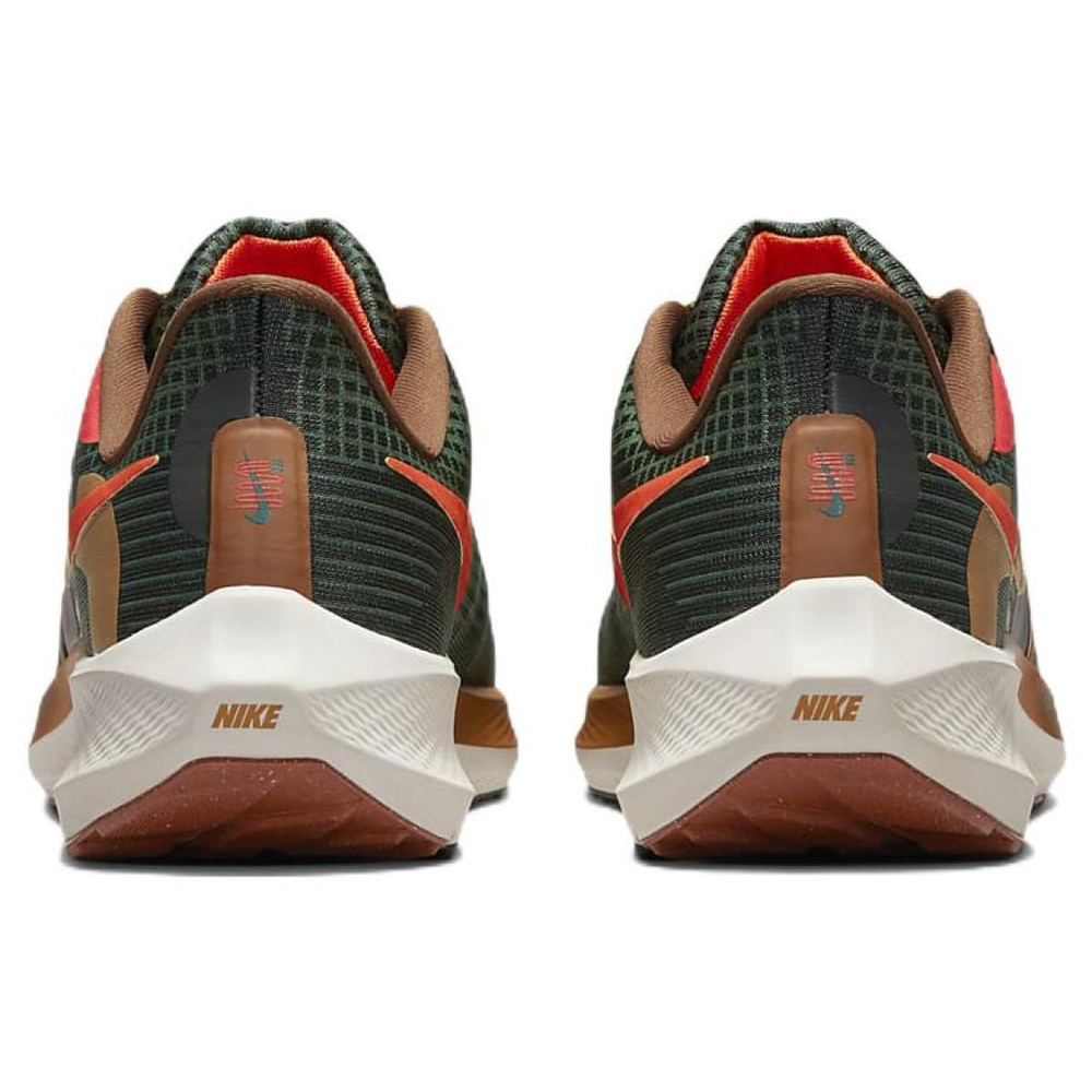 Nike Air Zoom Pegasus 39 "a.i.r. hola lou"