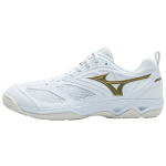Mizuno