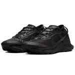 Nike Pegasus Trail 3 GTX