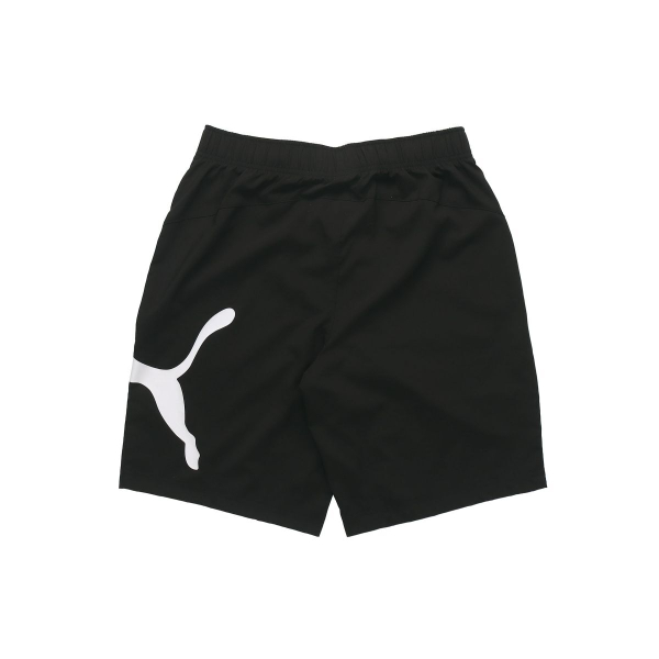 Puma Ess Logo