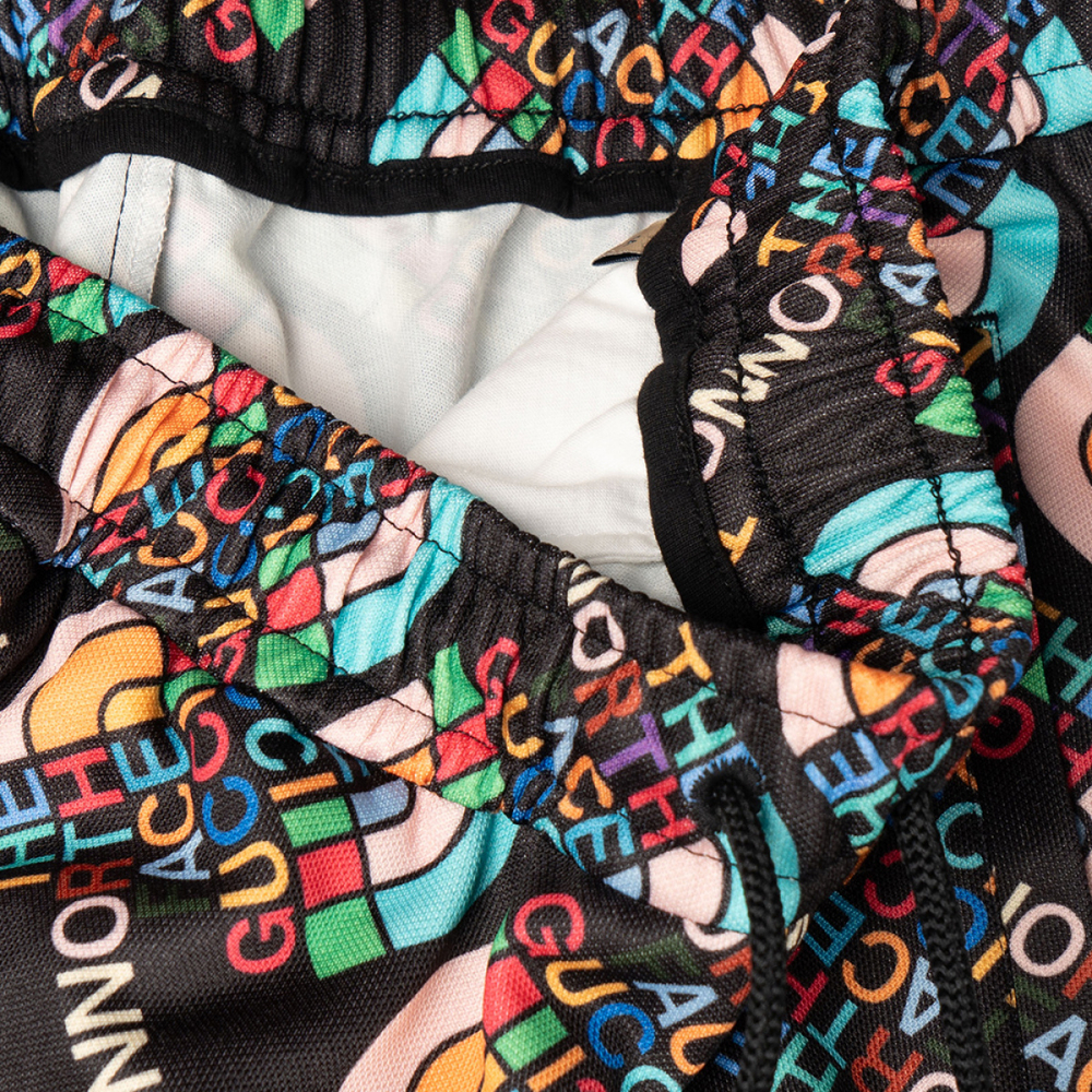 GUCCI x /THE NORTH FACE
