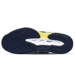 Asics Blast FF 3