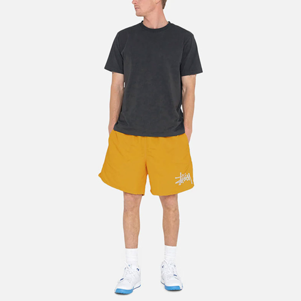 Stussy FW24 WATER SHORT BIG BASIC Logo