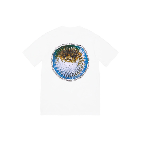 Supreme SS23 WEEK18 BLOWFISH TEE T