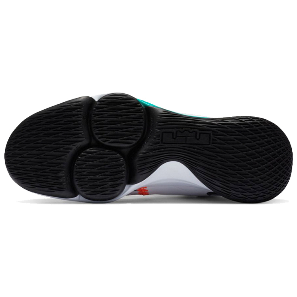 Nike Witness 5 LeBron EP