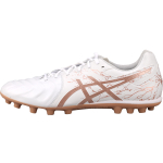 Asics DS LIGHT DS LIGHT AG（ ）