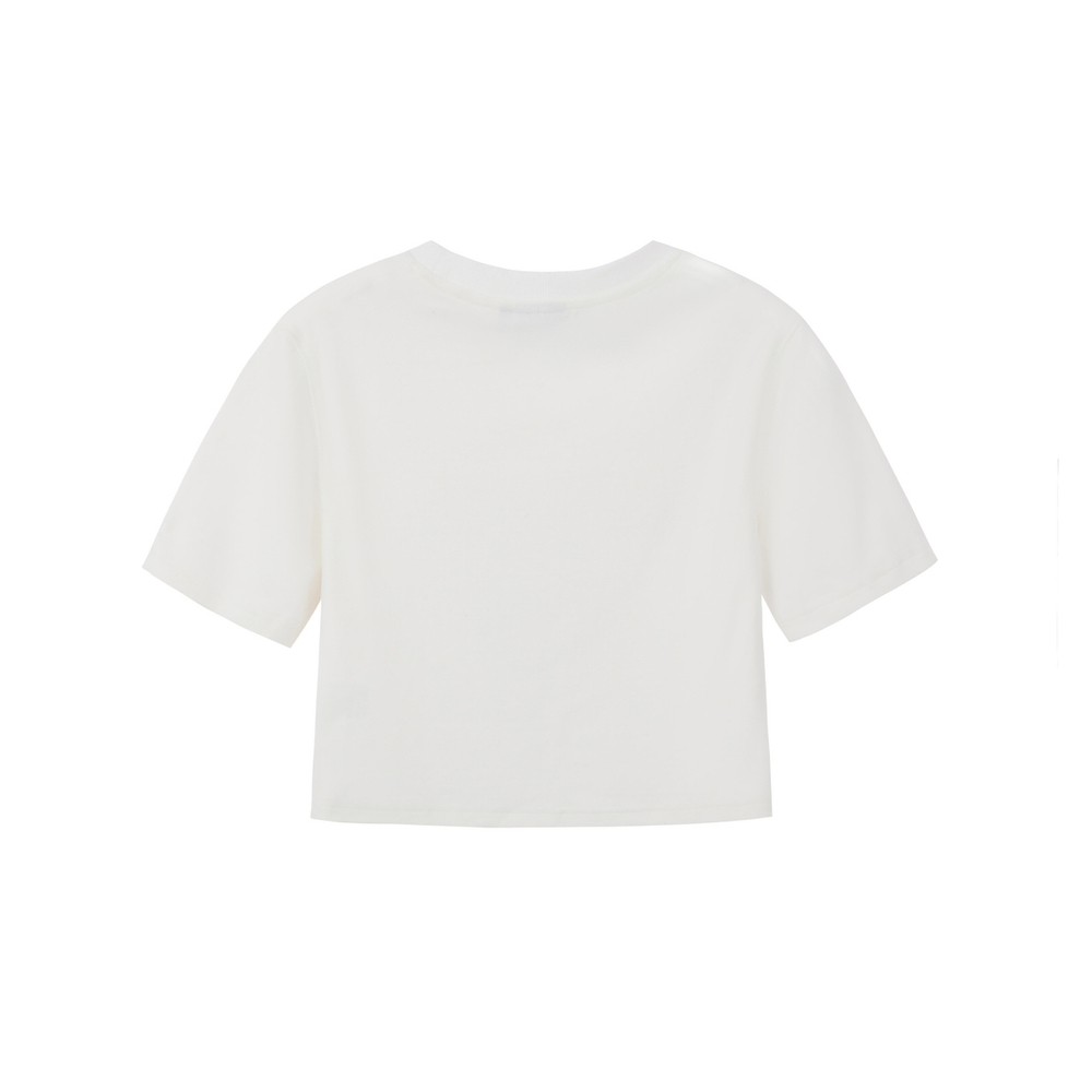 ICONS Lab SS23 ics T