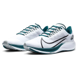 Nike Pegasus 37 philadelphia eagles