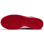 【 】 Nike Dunk 6
