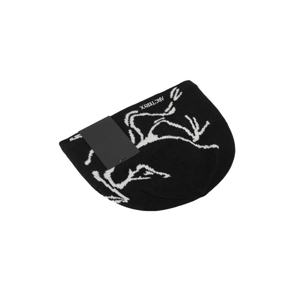 Arcteryx