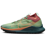 Nike Pegasus Trail 4 GORE-TEX