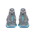 Nike Lebron 14 MAG