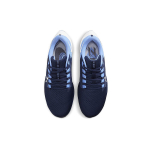 Nike Pegasus 38 "UNC"