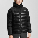 THE NORTH FACE Logo