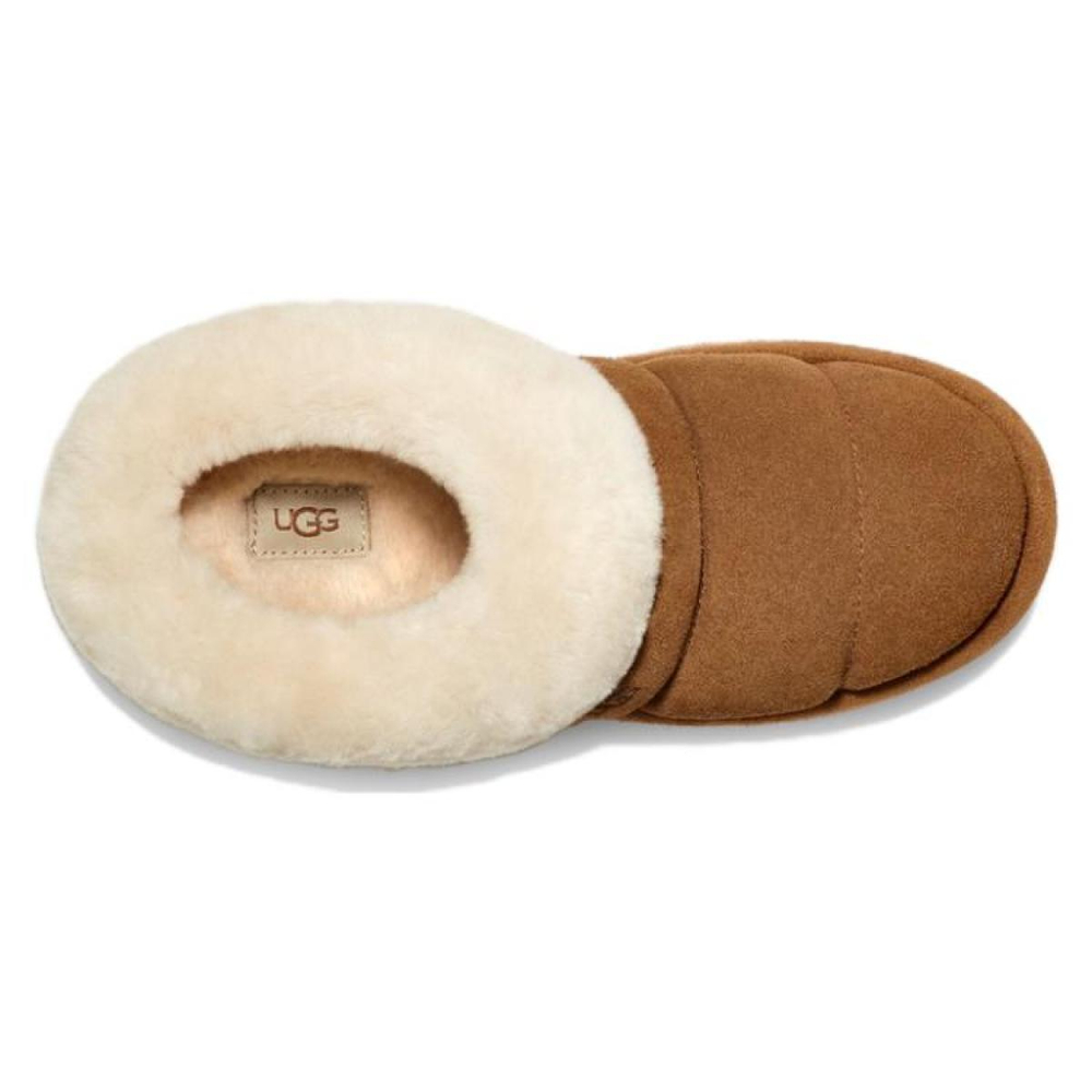 UGG Tazzlita