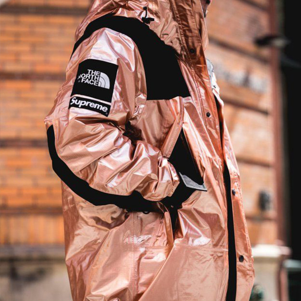 Supreme TNF TNF Metallic Parka