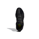 Adidas D lillard 6