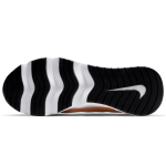 Nike RYZ 365