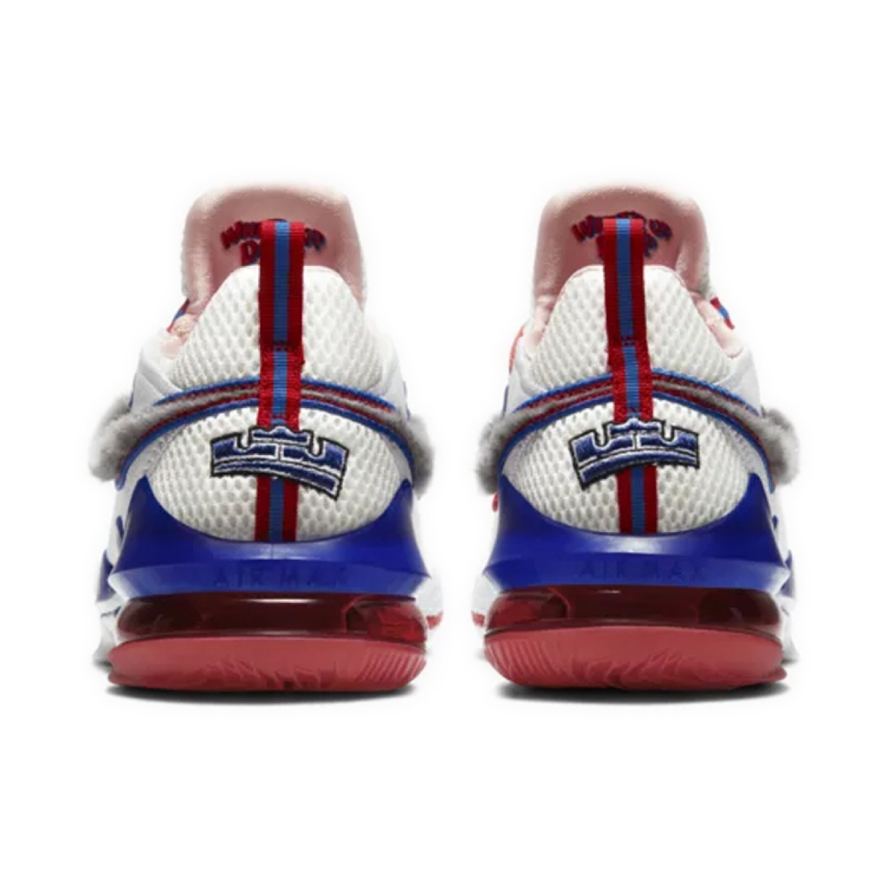 Nike Lebron 17