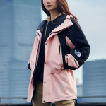 THE NORTH FACE 1994 Icon