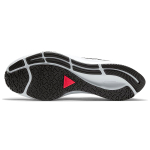 Nike Pegasus 37