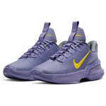 Nike Ambassador 13 LeBron Lakers 13
