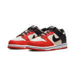 NBA x Nike Dunk