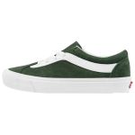 Vans Bold