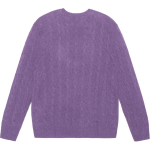 Polo Ralph Lauren FW23 Logo