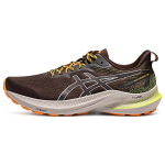 Asics GT-2000 12