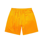 Supreme SS23 Week14 SMALL BOX BAGGY MESH SHORT logo