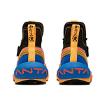 Anta