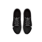 Nike Quest 2