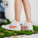 Asics All Court Alpha-l