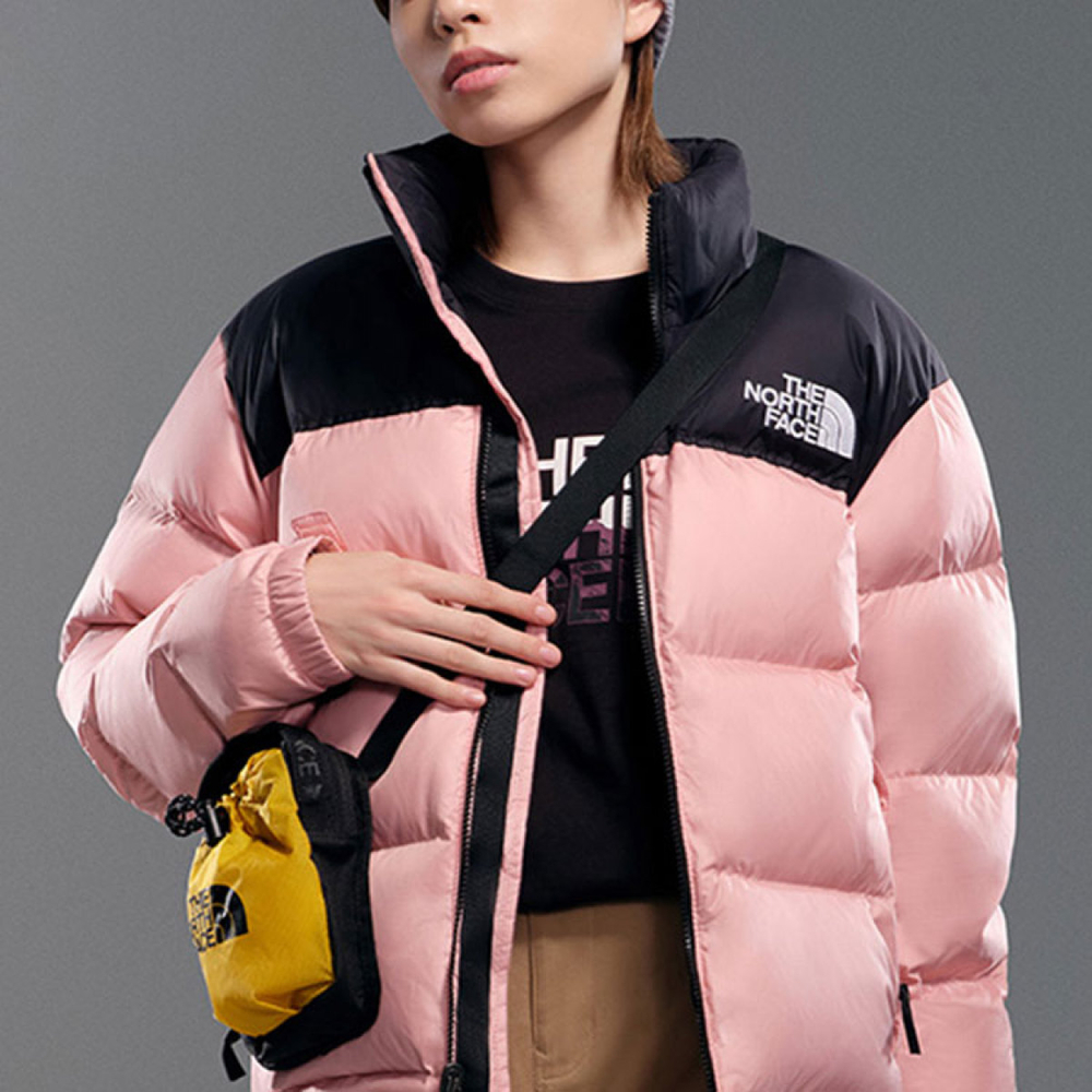 THE NORTH FACE 1996 Retro Nuptse 1996 700