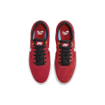 Nike SB Chron 2