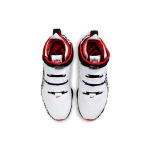 Nike Lebron 17