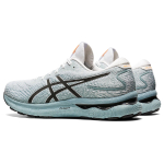 Asics GEL-Nimbus 24
