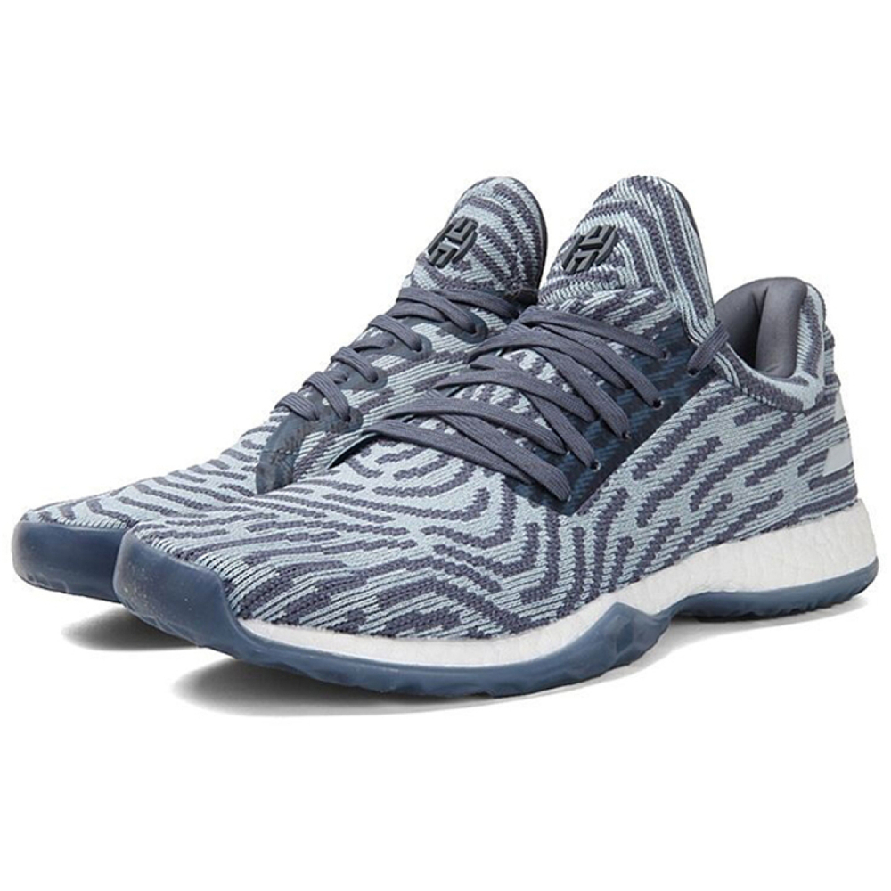 Adidas Harden Vol.1 LS PK 9.5