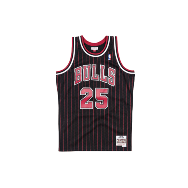 Mitchell & Ness SW NBA 95-96 25