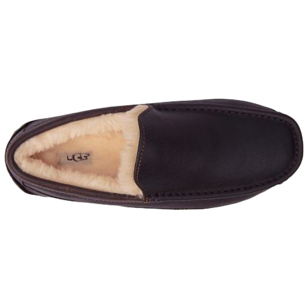 UGG Ascot