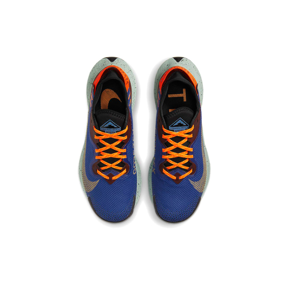Nike Pegasus Trail 2 GORE-TEX